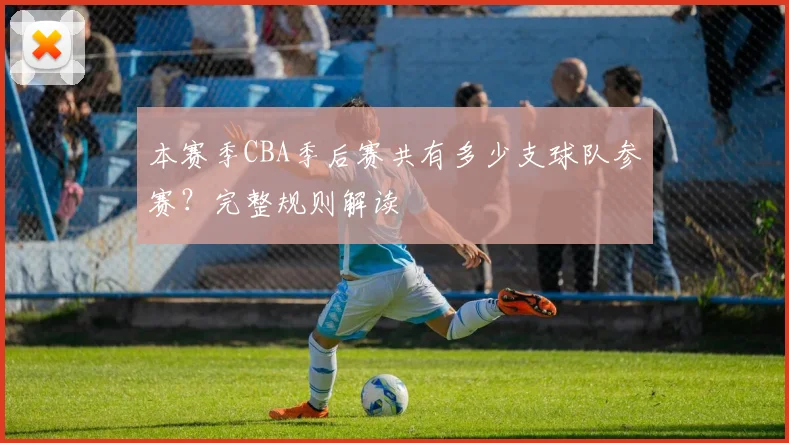 本赛季CBA季后赛共有多少支球队参赛？完整规则解读