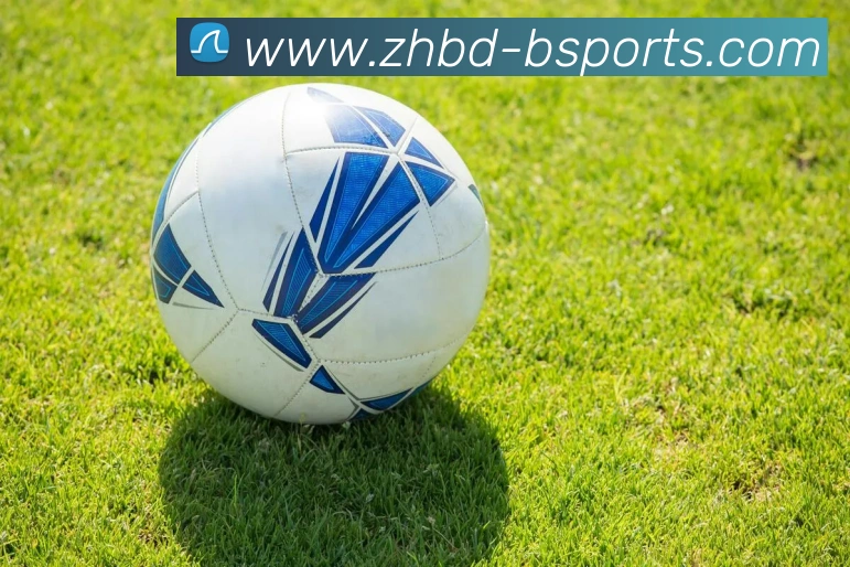 B体育Bsports平台生态图